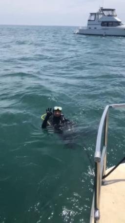 巧用农田保护千岛湖水质